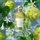 Туалетна Вода Guerlain Aqua Allegoria Bergamote Calabria 75 мл - зображення 5
