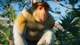 Дополнение Planet Zoo: Southeast Asia Animal Pack для ПК (Ключ активации Steam) - изображение 3