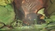 Игра Metamorphosis для ПК (Ключ активации Steam) - изображение 4