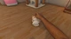Доповнення House Flipper - Pets DLC для ПК (Ключ активації Steam) - изображение 2