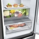 Холодильник LG GW-B509SLNM (GW-B509SLNM) - зображення 10