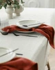 Лляні серветки TouchableLinen 4 шт Теракотовий Серветки для сервірування столу (100% льон) 45х45 см - зображення 6
