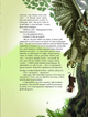 Пастух цвіркунів - Дочинець Мирослав (9786176298946) - изображение 7