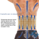 Надувний корсет від остеохондрозу Spinal Air Traction Belt/Пояс для спини та попереку/Пневмокорсет - зображення 5