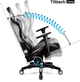 Игровое кресло Diablo X-Horn 2.0 Normal Size Black-White (5902560336986) - изображение 6