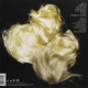 SIA – 1000 Forms Of Fear (LP, EU) - изображение 2
