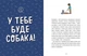Дітям про дресирування собак/Ванесса Естрада Марін/9786170985231 - зображення 3