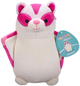 Maskotka Squishmallows HugMees Brixton the Sugar Glider 25 cm (196566451742) - obraz 1