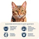 Сухой корм для активных кошек Home Food CAT ADULT с курицей и креветкой 1.6 кг - изображение 8