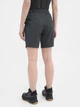 Спортивные шорты женские 4F Shorts Fnk F192 4FSS23TFSHF192-22S S Серые (5904698166572) - изображение 2