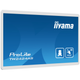 Монитор iiyama TW2424AS-W1 - изображение 3