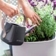 Субстрат Lechuza для овочів Veggie Pon 12 л - зображення 8