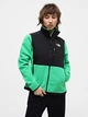 Толстовка на молнии без капюшона женская The North Face NF0A7UR6PO81 M Зеленая (196575588903) - изображение 1