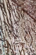 Ткань с пайетками и бахромой на сетке темно фрезовый 135см 250г/м2 1пог.м(500-бн) - изображение 2