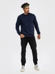 Світшот на флісі чоловічий Ray Basic U0301M M Navy Blue (RAY2000000004303) - зображення 4
