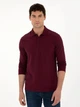 Поло длинное мужское Pierre Cardin G021SZ082-000-2015113(bordo) M Бордовое (8683857640708) - изображение 1