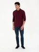 Поло длинное мужское Pierre Cardin G021SZ082-000-2015113(bordo) M Бордовое (8683857640708) - изображение 3