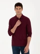 Поло длинное мужское Pierre Cardin G021SZ082-000-2015113(bordo) M Бордовое (8683857640708) - изображение 4