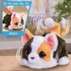Інтерактивна іграшка моє міні Кошеня FurReal My Minis Kitty Interactive Toy Just Play (28062) - зображення 2