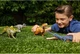 Динозавр Экриксинатозавр со звуком Мир юрского периода Jurassic World Epic Evolution Wild Roar Ekrixinatosaurus Dinosaur Mattel (HTK70) - изображение 7