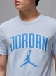 Футболка хлопковая длинная мужская Nike JORDAN CITY 88 CREW HQ0009-407 S Светло-голубая (0197859028696) - изображение 5