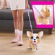 Інтерактивна іграшка "Коргі" серії "Poop-A-Lots" Furreal 28057 звукові ефекти - зображення 14