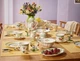Villeroy & Boch French Garden Green Line чашка с блюдцем - изображение 3