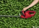 Кусторез Einhell GC-EH 4550 (3403370) - изображение 3