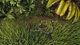 Lawn Mowing Simulator Landmark Edition (PS4, русские субтитры) - изображение 3