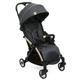 Прогулянковий візок Chicco Goody Plus Stroller 79877.57 - зображення 1