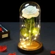 Вечная роза в колбе большая декоративная 21 см с диодной LED подсветкой Роза под стеклянным куполом Белая - изображение 4