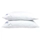 Подушка SoundSleep Elation антиаллергенная 40х60 см (92116334) - изображение 2