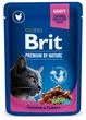 Вологий корм для котів з куркою та індичкою Brit Premium Cat Chicken & Turkey pouch 100 г - зображення 1