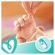 Детские влажные салфетки Pampers Sens 4x52 (8001841062624) - изображение 4