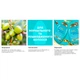 Шампунь OGX Argan oil of Morocco Восстанавливающий 385 мл (0022796976116) - изображение 4