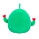 Мягкая игрушка Squishmallows Друзья Кактусы 2 шт, 19 см (SQVA00845) - изображение 5