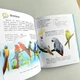 Птахи. Енциклопедія дошкільника - изображение 4