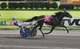 Кобила Standardbred Atlanta traditional Breyer 1886 - изображение 4