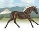 Sporthorse traditional жеребець Breyer 430054 - изображение 2
