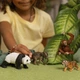 Стартовий набір Wild Life Азія Schleich 42736 - изображение 5
