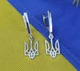 Сережки тризуб Maxi Silver 9146 - зображення 1