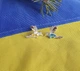 Серьги колибри Maxi Silver 9201 - изображение 5