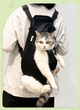 Открытая переноска - кенгуру для котов Pet Style "Comfort Bag" Черная S - изображение 6