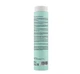 Шампунь Erayba для волос глубоко очищающий ABH Detox Refresh Shampoo 250 мл - изображение 2