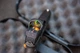 Приціл коліматорний Sig Optics ROMEO1 REFLEX SIGHT, 1x30MM, 3MOA RED DOT, 1.0 MOA ADJ (5002578) - изображение 5