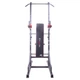 Поручень багатофункціональний для підтягування inSPORTline Power Tower X150 - изображение 3