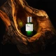 Парфуми унісекс Maison Crivelli Oud Stallion 50 мл (3770019756614) - зображення 3
