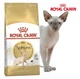Сухий корм Royal Canin Sphynx Adult - для дорослих кішок породи Сфінкс від 12 місяців, 10 кг (2556100) - зображення 1