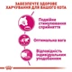 Сухий корм Royal Canin Savour Exigent (Fussy) - для котів, вибагливих до смаку корму, 4 кг (2531040) - зображення 6