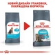 Сухой корм для кошек Royal Canin Urinary Care - для взрослых кошек, профилактика мочекаменной болезни, 10 кг (1800100) - изображение 2
